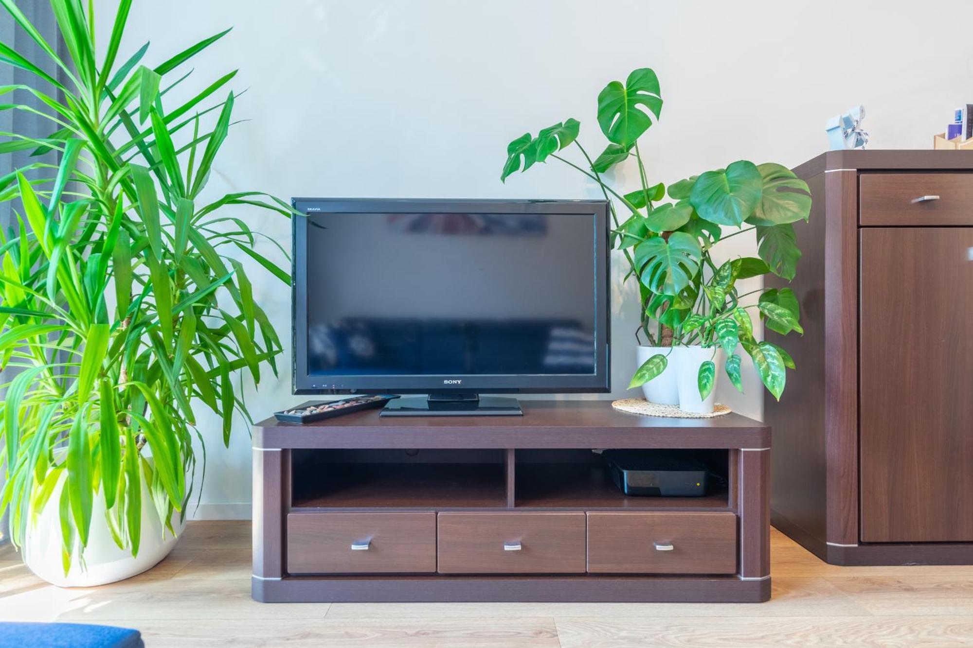Apartament Anchor Przymorze Gdansk Ngoại thất bức ảnh